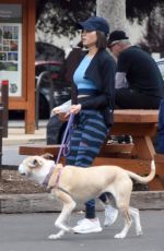 JENNA DEWAN Out with Her Dog in Studio City 05/23/2018