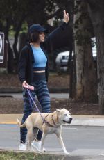 JENNA DEWAN Out with Her Dog in Studio City 05/23/2018