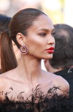 JOAN SMALLS at Girls of the Sun Premiere at Cannes Film Festival 05/12/2018