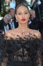 JOAN SMALLS at Girls of the Sun Premiere at Cannes Film Festival 05/12/2018