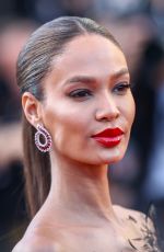 JOAN SMALLS at Girls of the Sun Premiere at Cannes Film Festival 05/12/2018