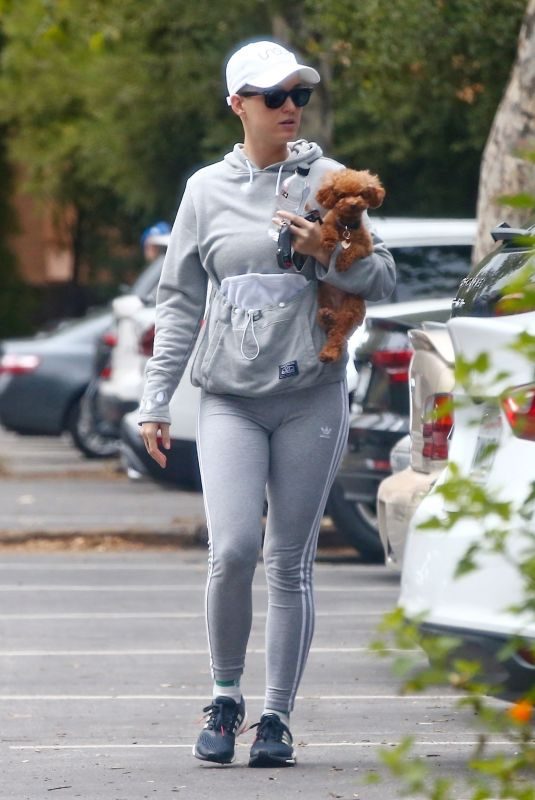KATY PERRY Out with Her Dog in Studio City 05/12/2018