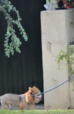KRISTEN BELL Walks Her Dog Out in Los Angeles 05/10/2018