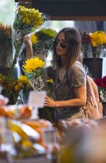 MEGAN FOX Out Shopping in New Orleans 05/22/2018