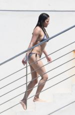 MICHELLE RODRIGUEZ in Bikini Swimming at Eden Roc Hotel in Antibes 05/17/2018