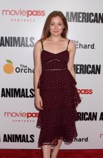 MINA SUNDWALL at American Animals Premiere in New York
