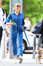 NAOMI WATTS in Blue Jeans Jumper Out with Her Dog in New York 05/22/2018