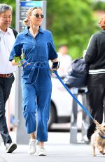 NAOMI WATTS in Blue Jeans Jumper Out with Her Dog in New York 05/22/2018