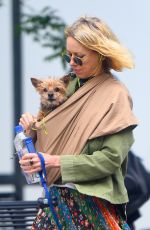 NAOMI WATTS Out with Her Dogs in New York 05/17/2018