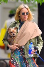 NAOMI WATTS Out with Her Dogs in New York 05/17/2018