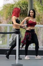 NIKKI and BRIE BELLA, NATALYA NEIDHART and SHARNA BURGESS Out in Miami Beach 05/30/2018