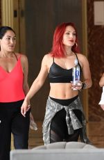 NIKKI and BRIE BELLA, NATALYA NEIDHART and SHARNA BURGESS Out in Miami Beach 05/30/2018