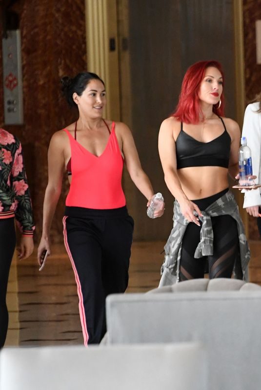 NIKKI and BRIE BELLA, NATALYA NEIDHART and SHARNA BURGESS Out in Miami Beach 05/30/2018