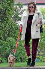 RACHAEL TAYLOR Out With Her Dog in Los Angeles 05/12/2018