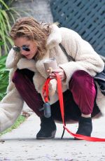 RACHAEL TAYLOR Out With Her Dog in Los Angeles 05/12/2018