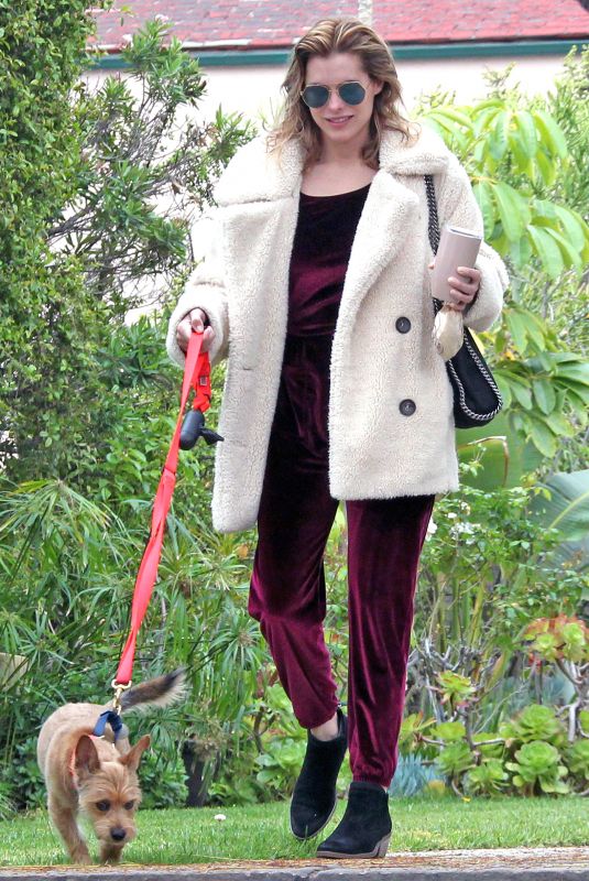 RACHAEL TAYLOR Out With Her Dog in Los Angeles 05/12/2018
