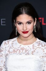 RONNI HAWK  at Netflix FYSee Kick-off Event in Los Angeles 05/06/2018