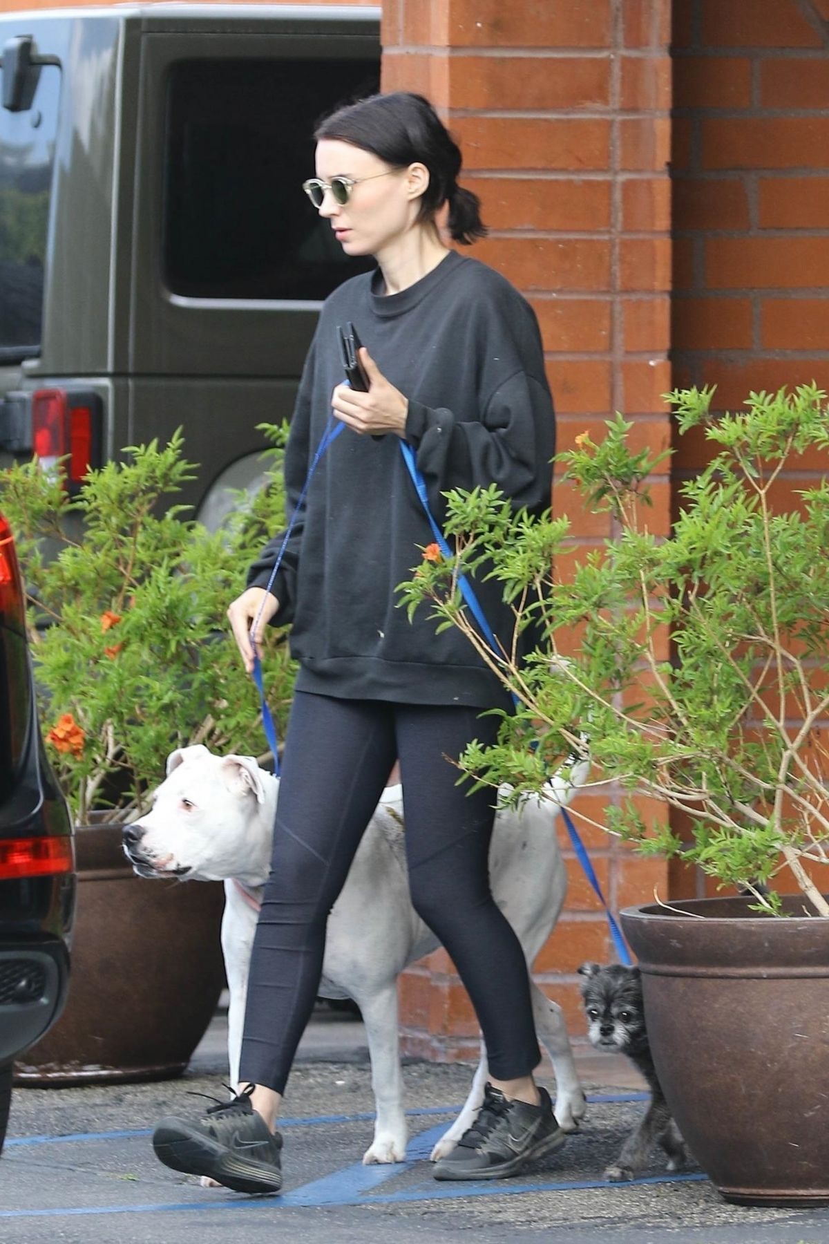ROONEY MARA Out Hiking at Treepeople Park in Beverly Hills 05/26/2018 ...