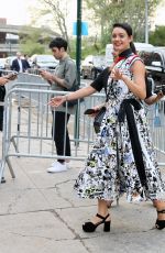 SOPHIE CHARLOTTE Arrives at Prada Resort: 2019 Show in New York 05/04/2018