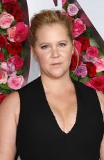 AMY SCHUMER at 2018 Tony Awards in New York 06/10/2018
