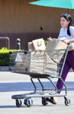 ARIEL WINTER Shopping at Gelson