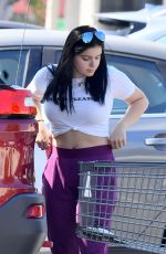 ARIEL WINTER Shopping at Gelson
