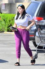 ARIEL WINTER Shopping at Gelson