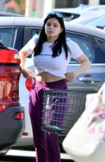 ARIEL WINTER Shopping at Gelson