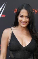 BRIE and NIKKI BELLA at WWE FYC Event in Los Angeles 06/06/2018