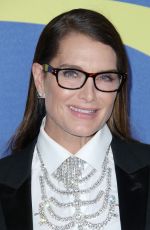 BROOKE SHIELDS at CFDA Fashion Awards in New York 06/05/2018