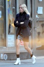 CHLOE SEVIGNY Out in New York 05/31/2018