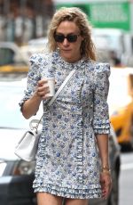 CHLOE SEVIGNY Outt in New York 06/22/2018