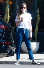 DAKOTA JOHNSON in Jeans Out Shopping in West Hollywood 06/06/2018