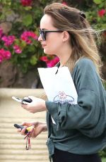 DAKOTA JOHNSON Out and About in Malibu 06/22/2018