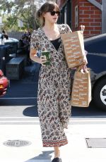 DAKOTA JOHNSON Out Shopping in Venice Beach 06/17/2018