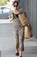 DAKOTA JOHNSON Out Shopping in Venice Beach 06/17/2018