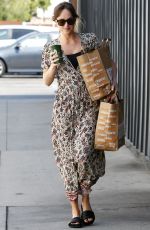 DAKOTA JOHNSON Out Shopping in Venice Beach 06/17/2018