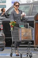 DAKOTA JOHNSON Shopping at a Grocery Store in Los Angeles 06/16/2018