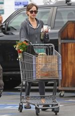 DAKOTA JOHNSON Shopping at a Grocery Store in Los Angeles 06/16/2018