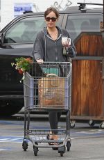 DAKOTA JOHNSON Shopping at a Grocery Store in Los Angeles 06/16/2018
