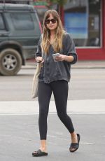 DAKOTA JOHNSON Shopping at a Grocery Store in Los Angeles 06/16/2018