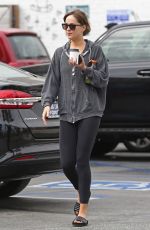 DAKOTA JOHNSON Shopping at a Grocery Store in Los Angeles 06/16/2018