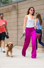 DANIELLE CAMPBELL Out with her Dog in New York 06/19/2018