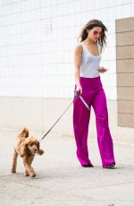 DANIELLE CAMPBELL Out with her Dog in New York 06/19/2018