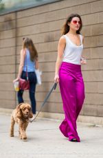 DANIELLE CAMPBELL Out with her Dog in New York 06/19/2018