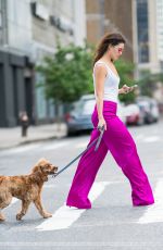 DANIELLE CAMPBELL Out with her Dog in New York 06/19/2018