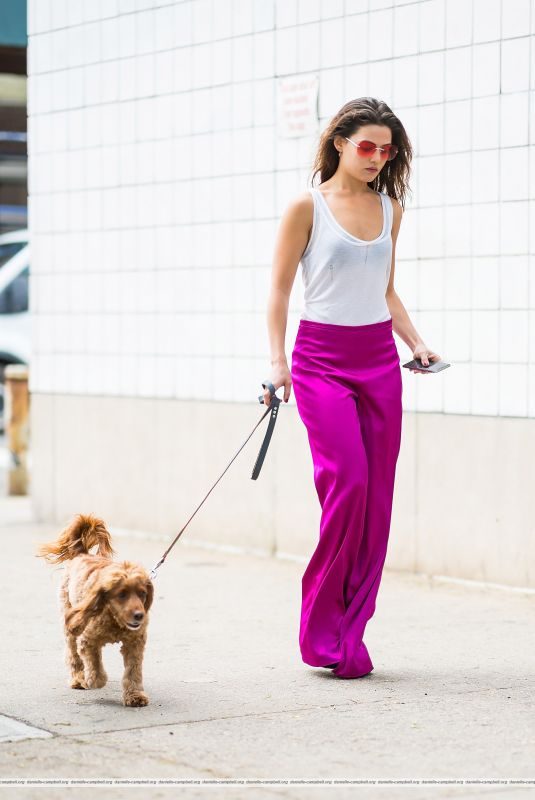 DANIELLE CAMPBELL Out with her Dog in New York 06/19/2018