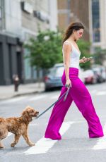 DANIELLE CAMPBELL Out with Her Dog in New York 06/26/2018