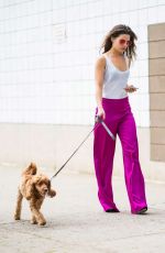 DANIELLE CAMPBELL Out with Her Dog in New York 06/26/2018