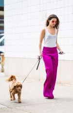 DANIELLE CAMPBELL Out with Her Dog in New York 06/26/2018